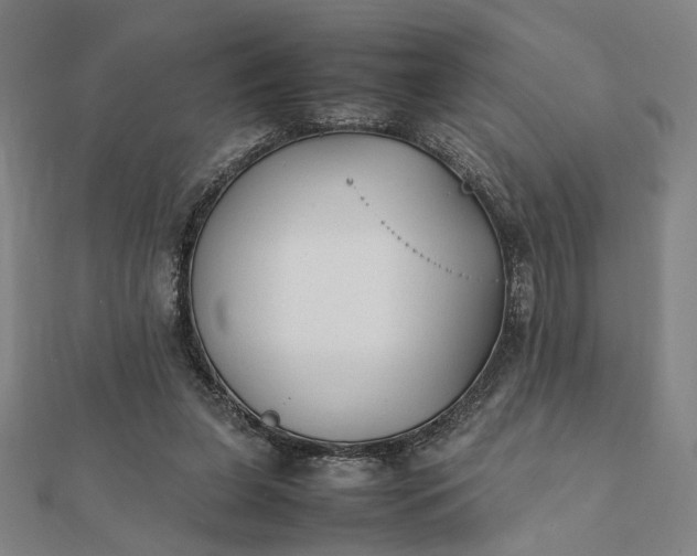 X0000112070255200908181226