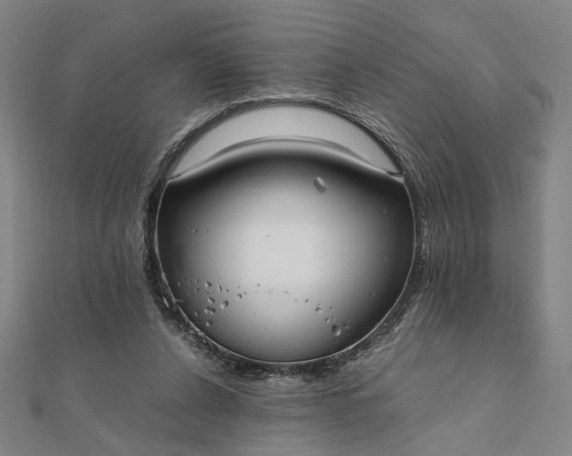 X0000112070256200908181226