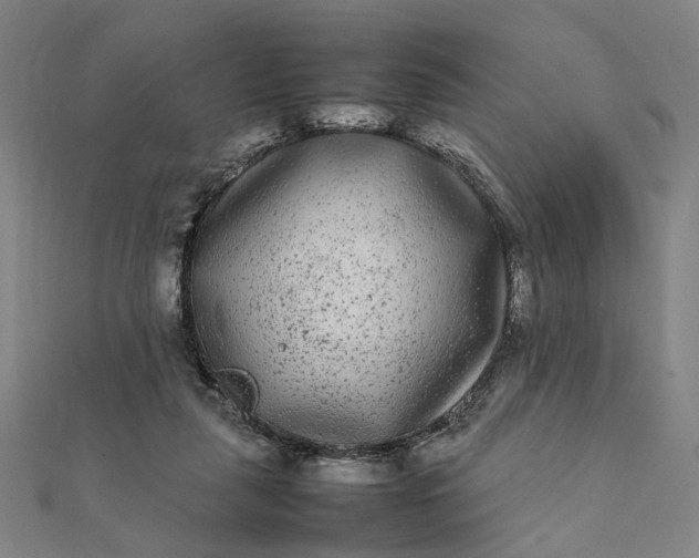 X0000112070259200908181226