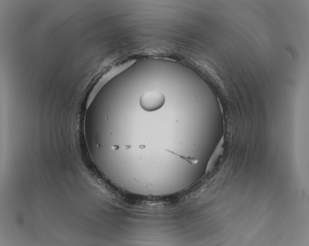 X0000112070260200908181226