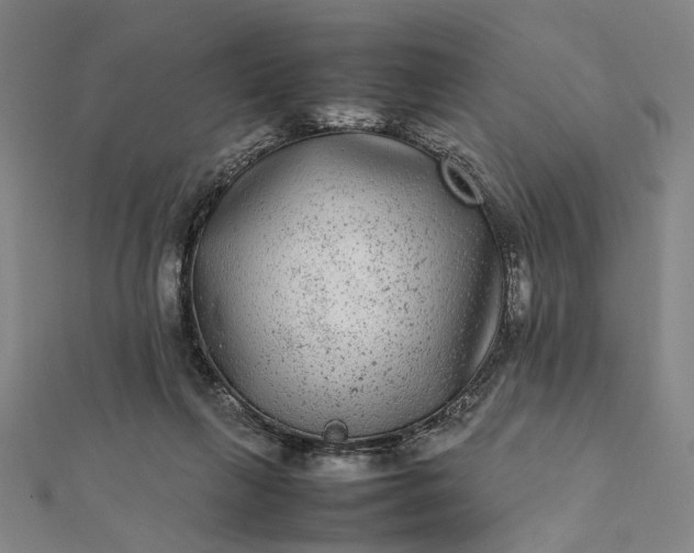 X0000112070263200908181226