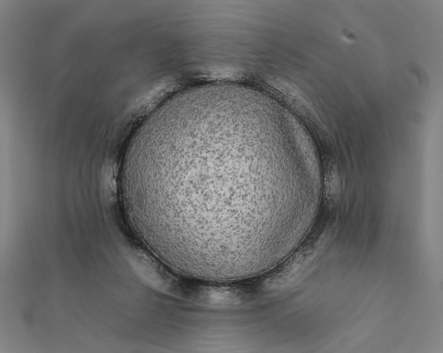 X0000112070264200908181226