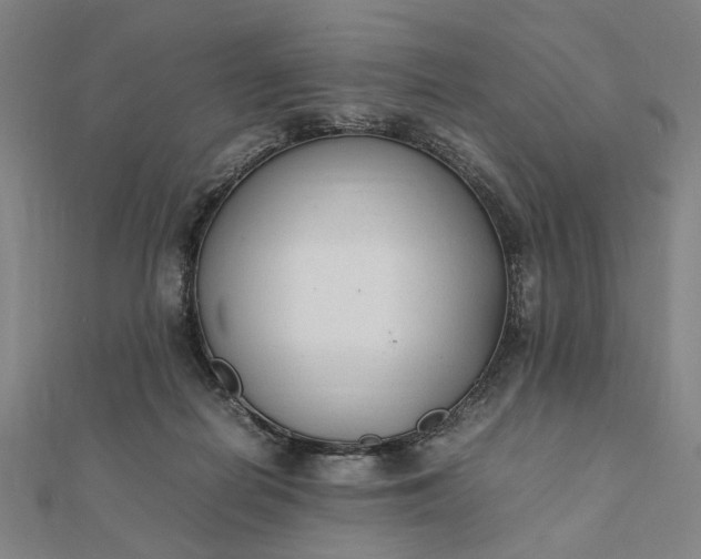 X0000112070266200908181226