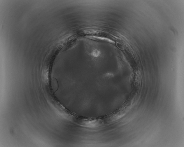X0000112070267200908181226