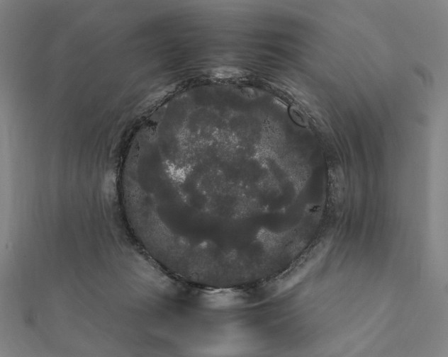 X0000112070269200908181226