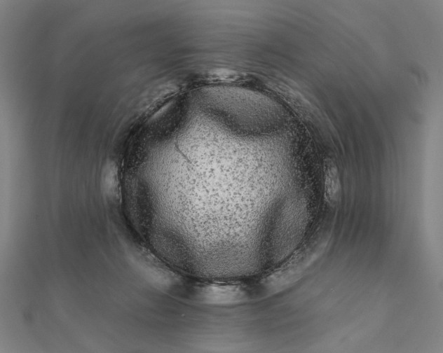 X0000112070270200908181226