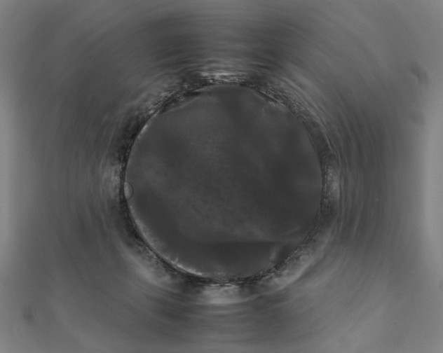 X0000112070271200908181226