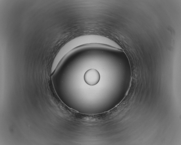 X0000112070272200908181226
