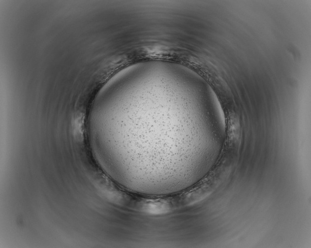 X0000112070275200908181227