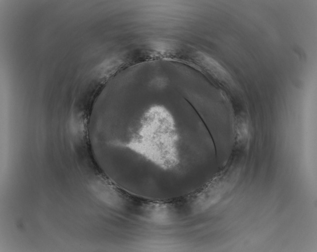 X0000112070276200908181227