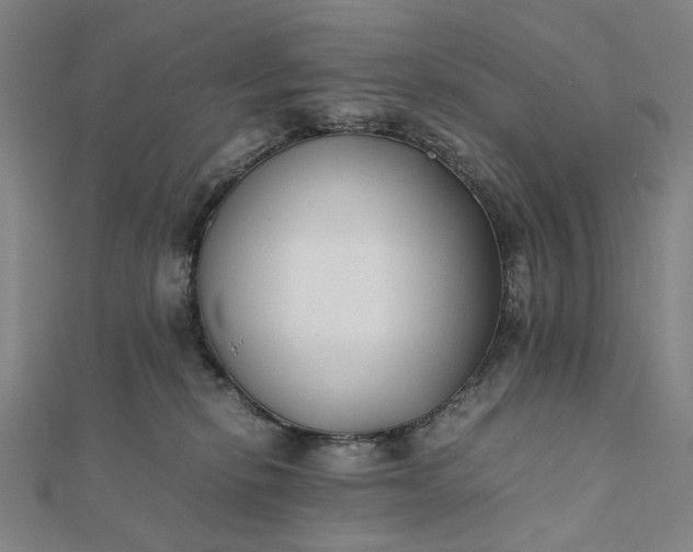 X0000112070278200908181227