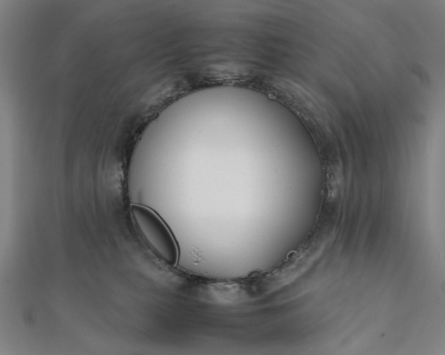 X0000112070279200908181227