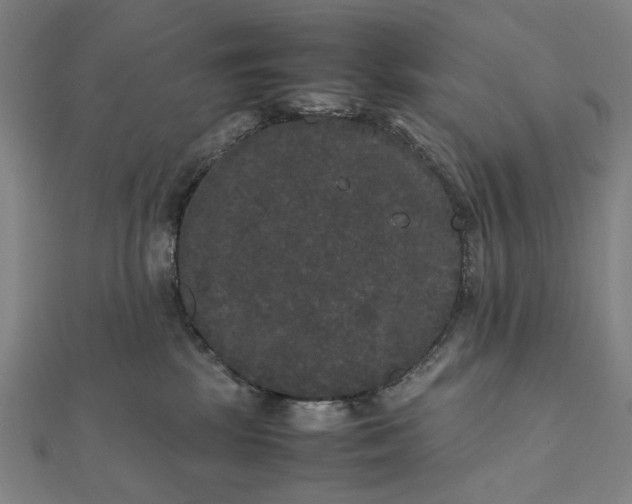 X0000112070281200908181227