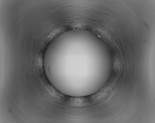 X0000112070282200908181227