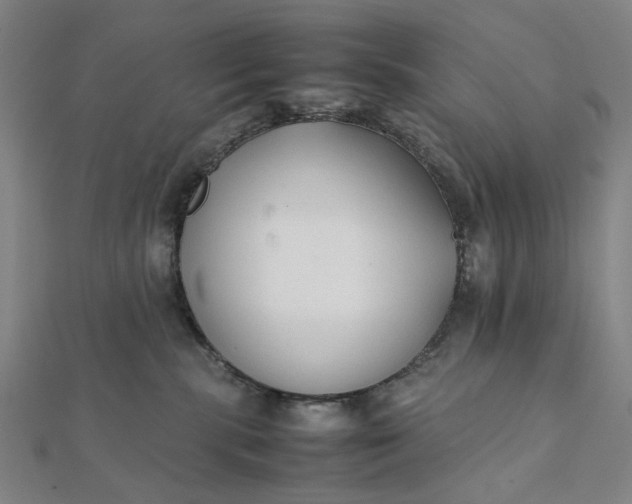 X0000112070283200908181227