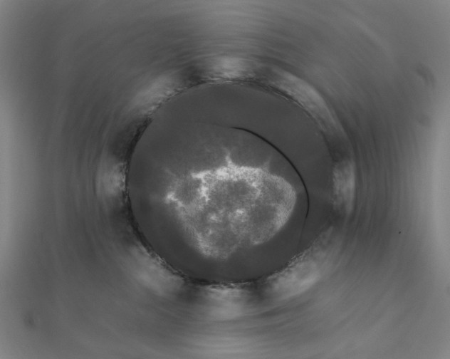 X0000112070284200908181227