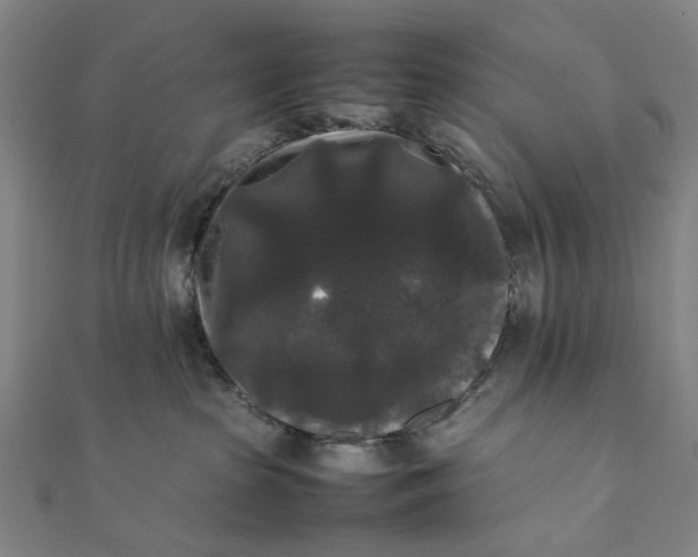 X0000112070285200908181227