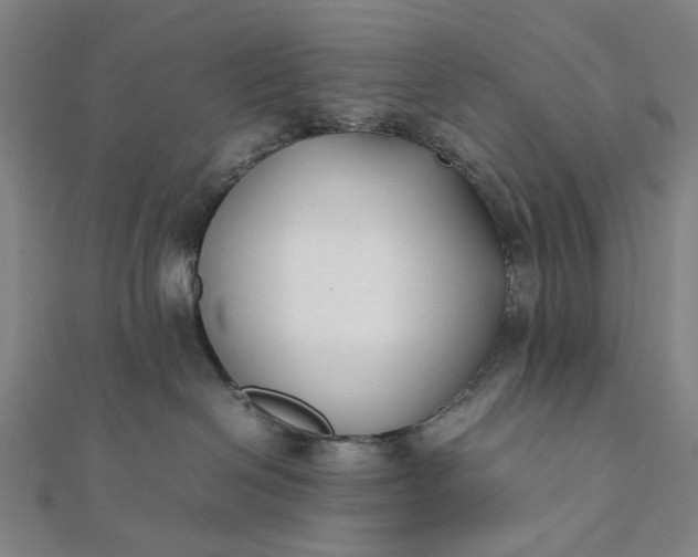 X0000112070286200908181227