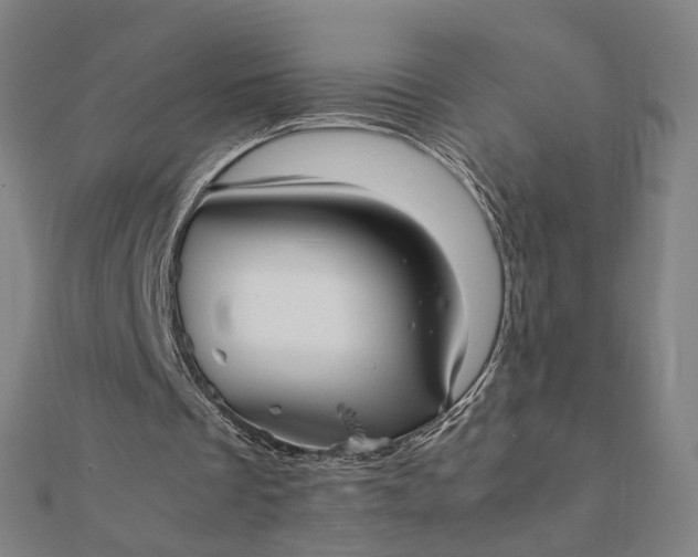 X0000112070289200908181226
