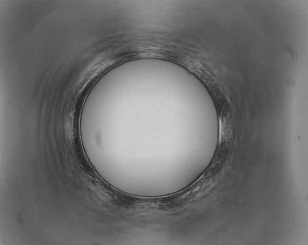 X0000112070291200908181226