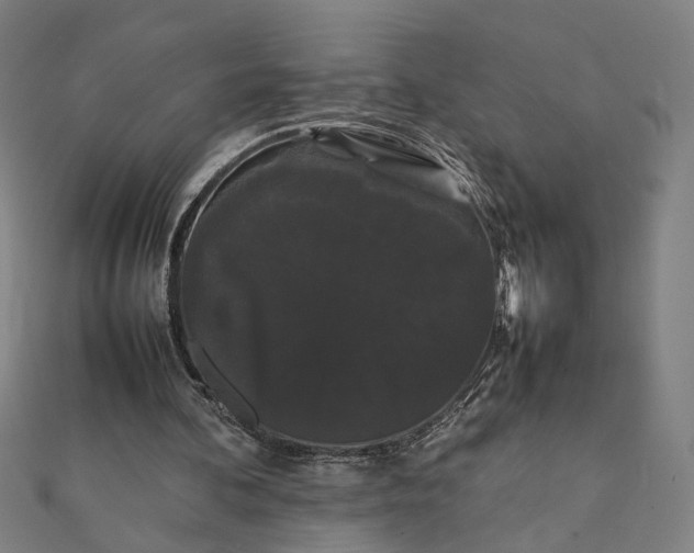 X0000112070292200908181226