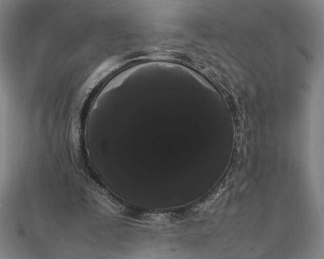 X0000112070295200908181226
