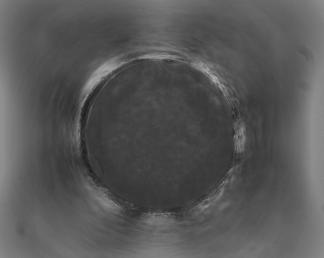 X0000112070296200908181226