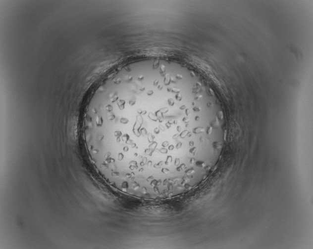 X0000112070299200908181226