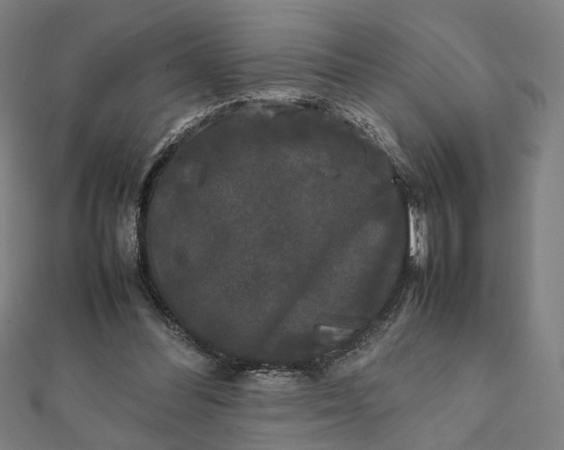X0000112070300200908181226