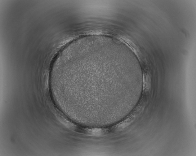 X0000112070301200908181226
