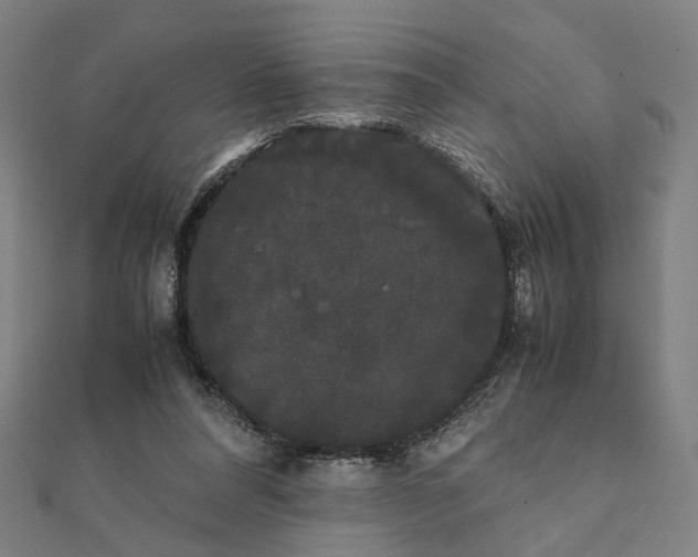 X0000112070304200908181226