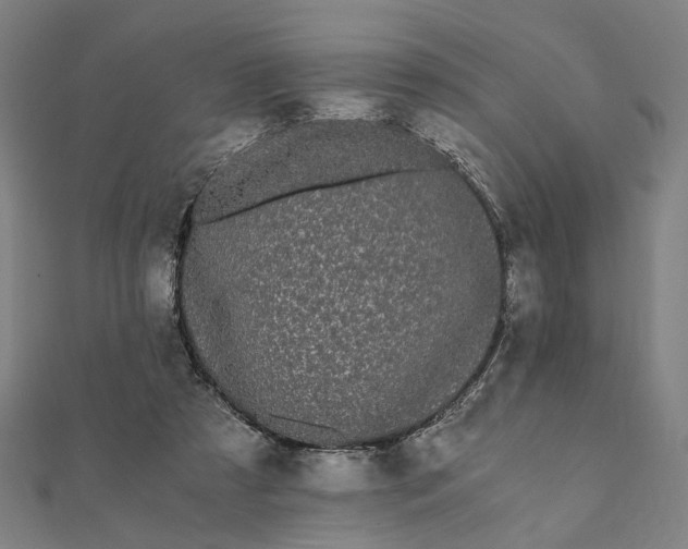X0000112070305200908181226