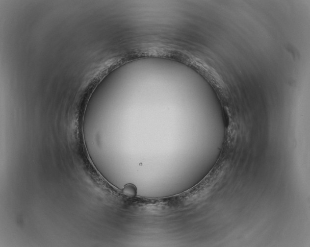 X0000112070306200908181226