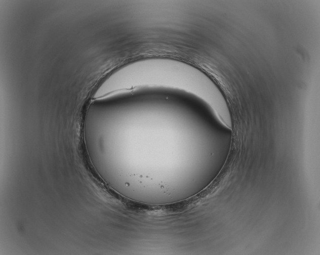X0000112070309200908181226
