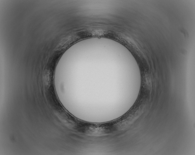 X0000112070311200908181226