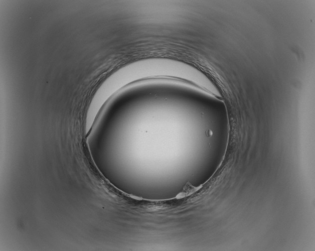 X0000112070313200908181226