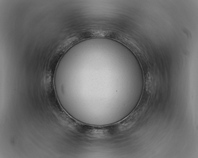 X0000112070314200908181226