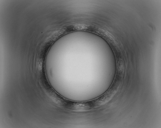 X0000112070315200908181226