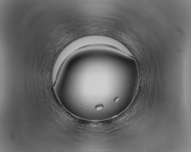 X0000112070317200908181226
