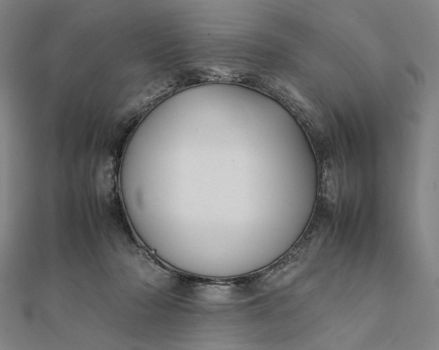 X0000112070318200908181226