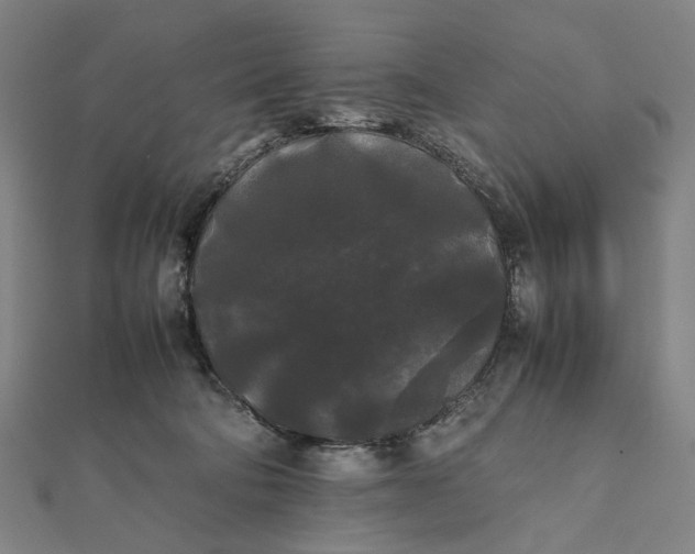 X0000112070322200908181226