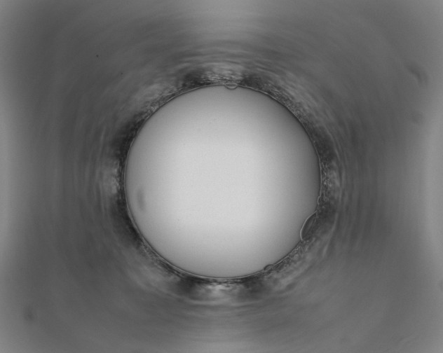 X0000112070323200908181226
