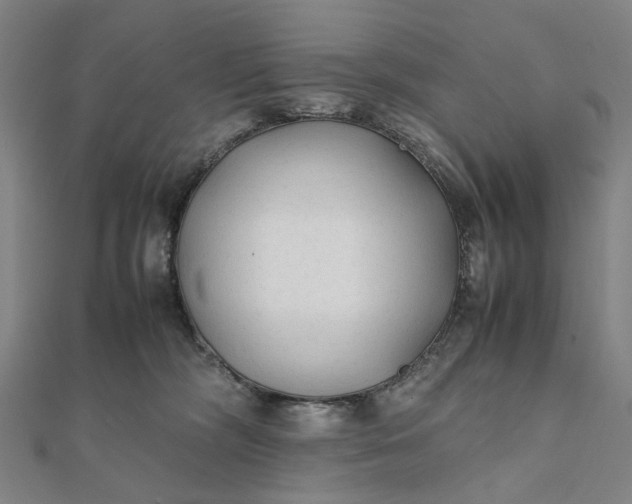 X0000112070326200908181226