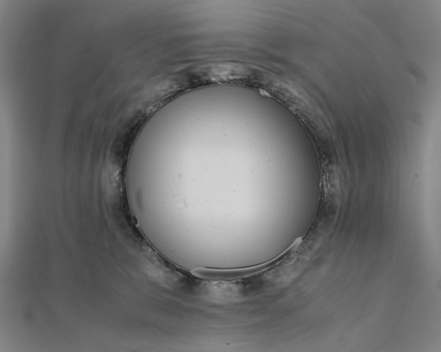 X0000112070327200908181226