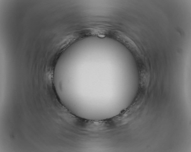 X0000112070329200908181226