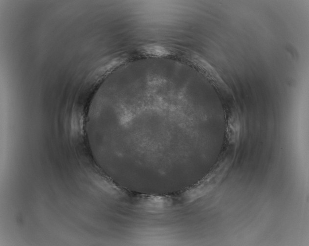 X0000112070330200908181226
