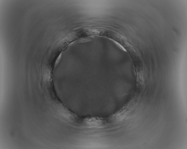 X0000112070331200908181226