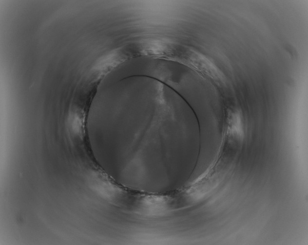 X0000112070332200908181226
