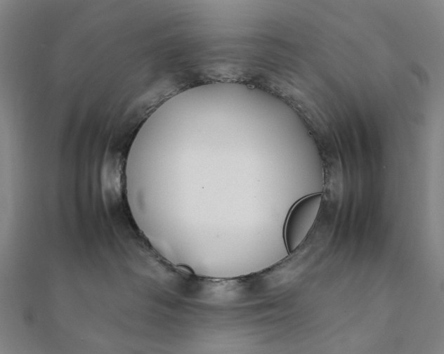 X0000112070334200908181225