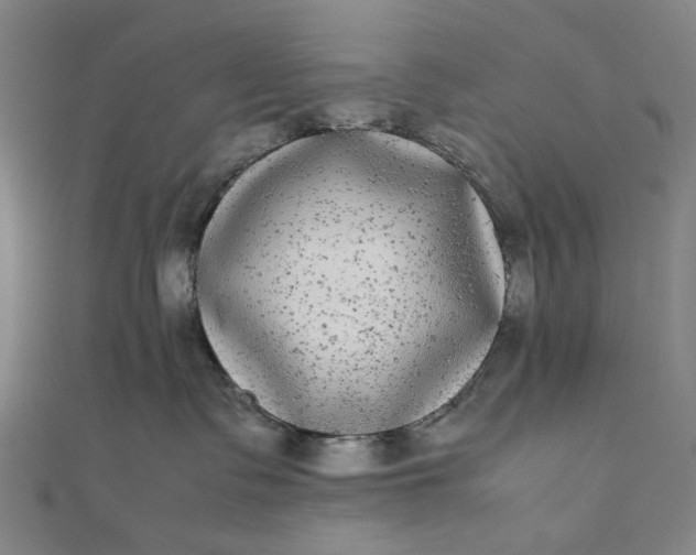 X0000112070335200908181225